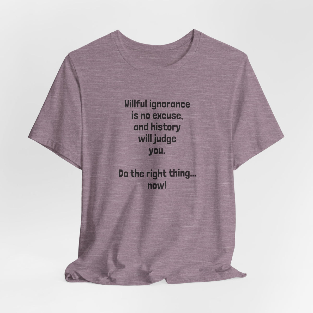 Willful Ignorance