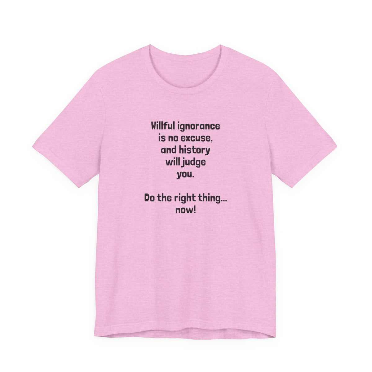 Willful Ignorance