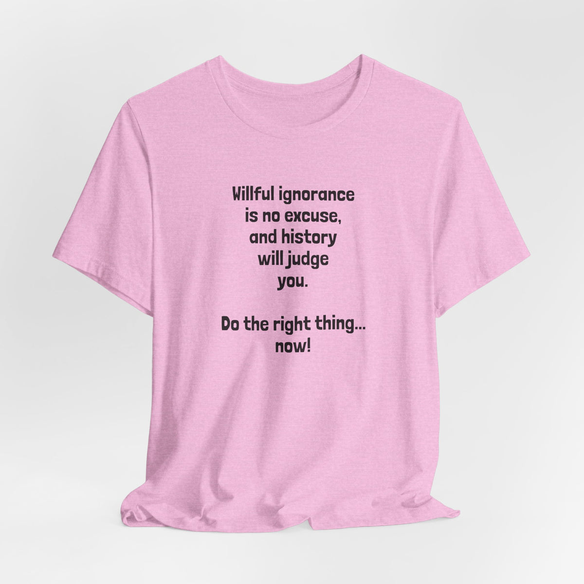 Willful Ignorance